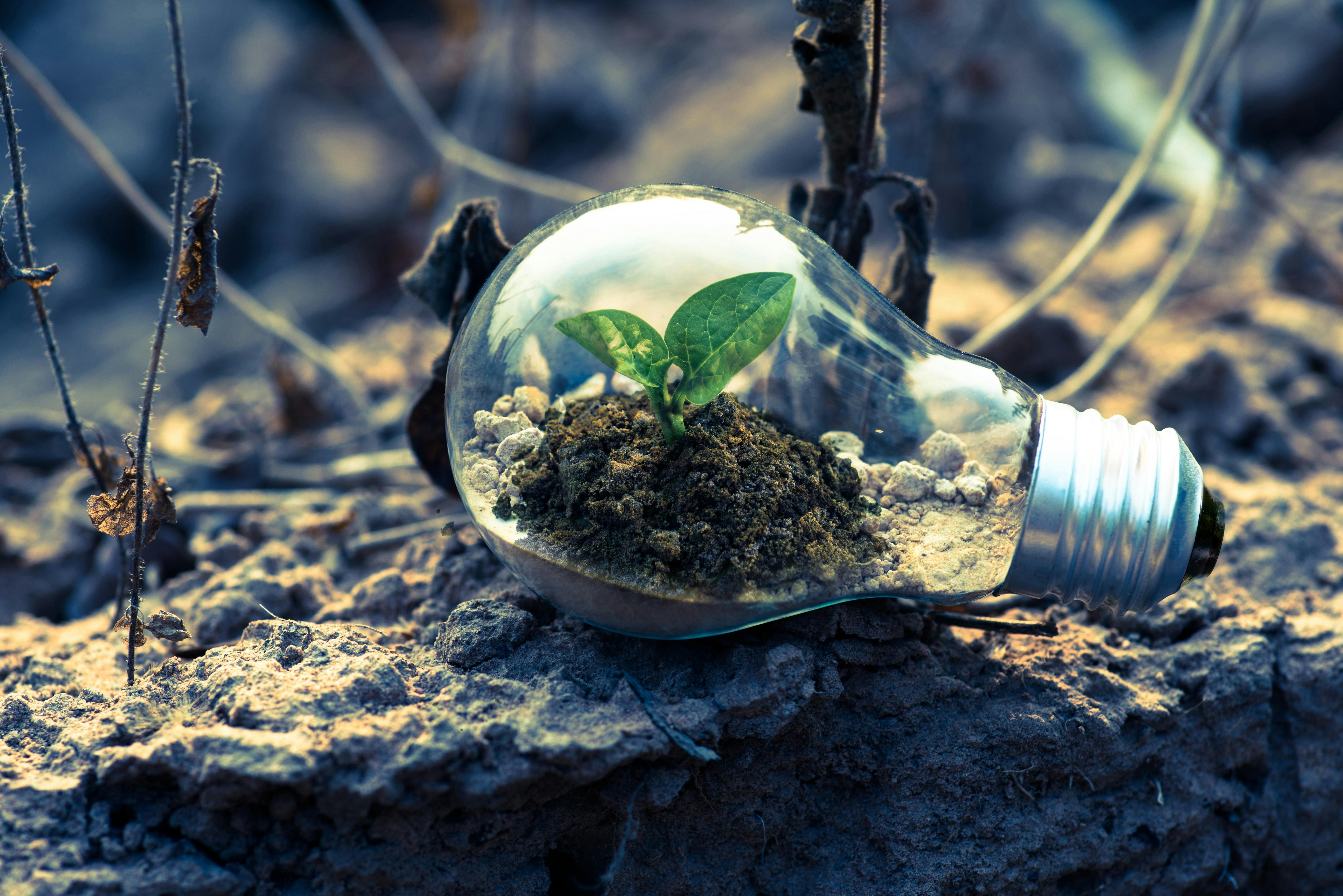 This striking image of a light bulb nurturing a small green plant symbolises the future of sustainable living and energy-efficient homes. Buyers in South East London and North Kent are increasingly drawn to properties with high EPC ratings, renewable energy features, and eco-conscious design. At Integra Estates, we understand the growing demand for homes that are both beautiful and energy-efficient. Whether it’s installing solar panels, eco-friendly insulation, or electric charging points, sustainable upgrades not only help the environment but also add significant value to properties.