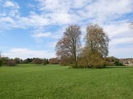 A wide open grassy field stretches across the landscape under a partly cloudy blue sky. A small cluster of tall trees with sparse foliage stands near the center, and distant greenery and rural buildings are visible along the horizon, giving the scene a peaceful, countryside feel.