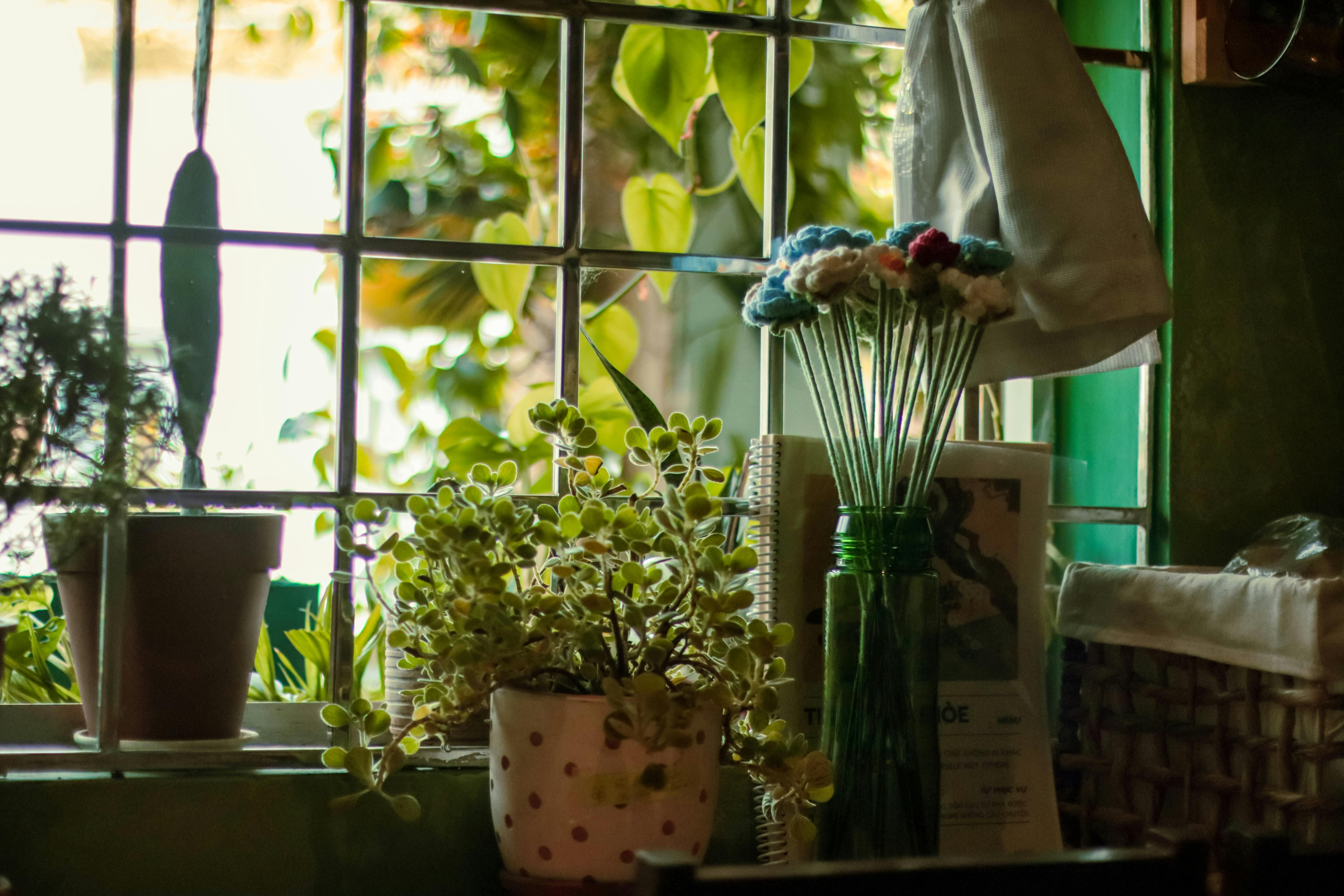 A cozy windowsill scene with soft, warm lighting. Several potted plants sit near a metal window grille, their green leaves illuminated by natural light from outside. 